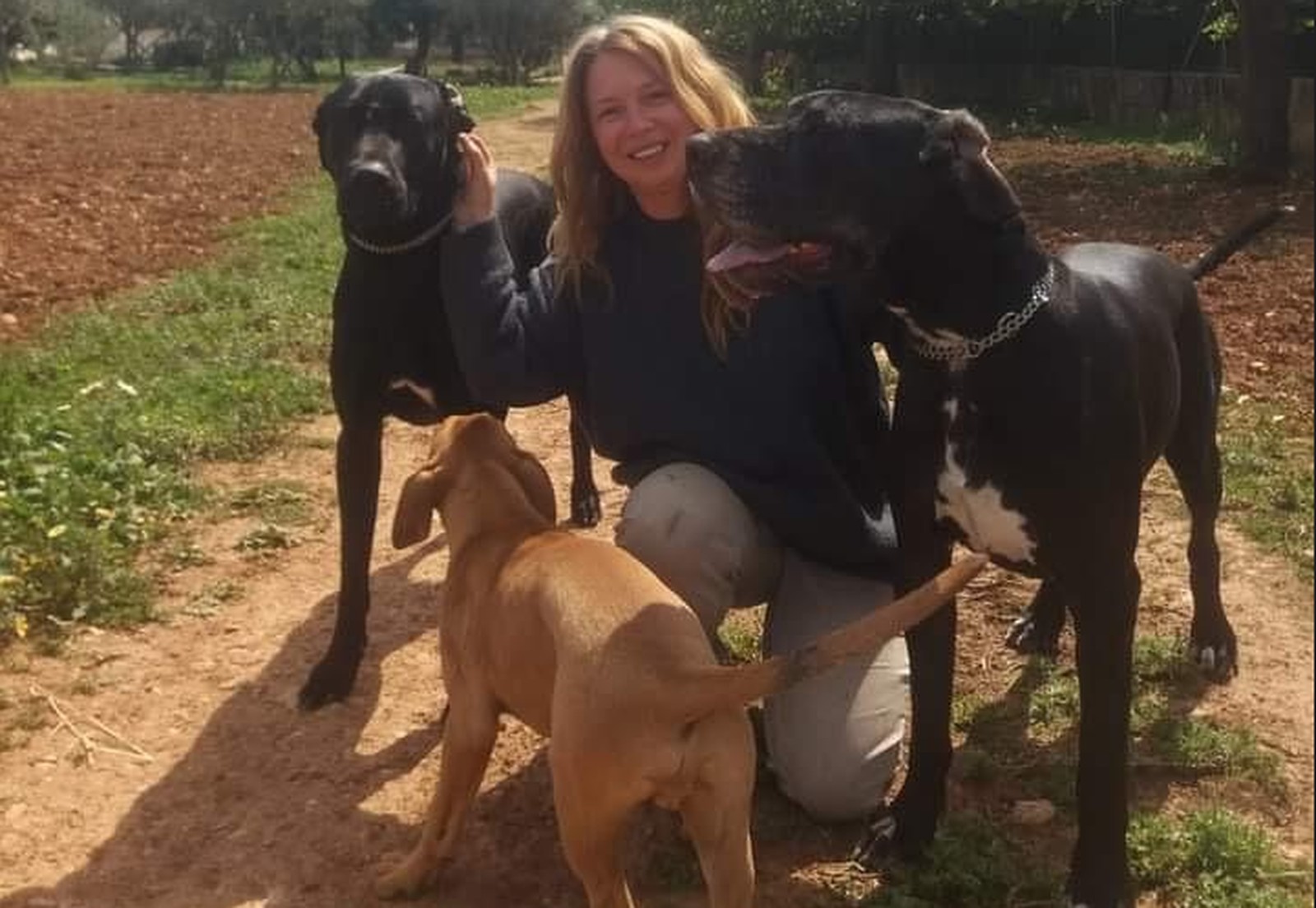 Câine și pisică salvați, odihnindu-se în curtea unei ferme mallorquine