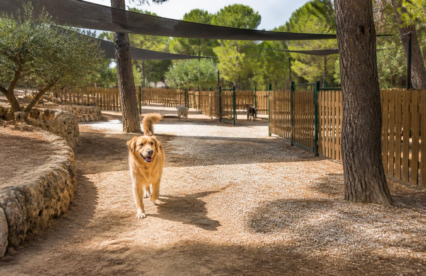 Instalaciones de la residencia canina con zonas de sombra